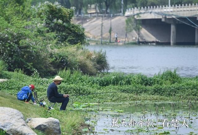  宅家：宅家几个月，终于钓上鱼