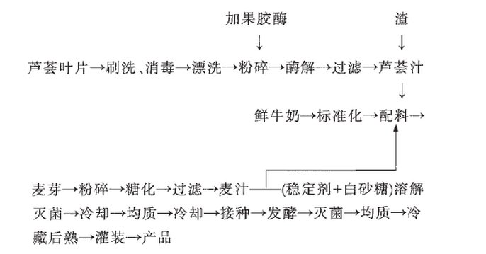  25℃发酵24h：麦芽芦荟乳酸饮料配方的技术研发