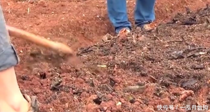 从今年起农村3种情况不能再种地了，不懂的快找人问问