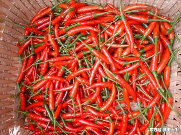 哪个女人都怕胖，日常生活中多吃“它”，不用减肥照样瘦