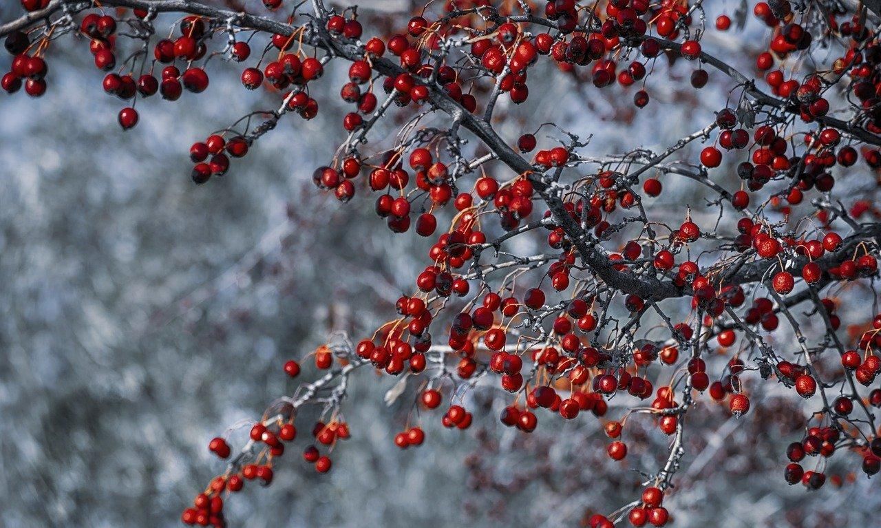 纠结■1张「神奇表格」,买买买 vs 扔扔扔不纠结
