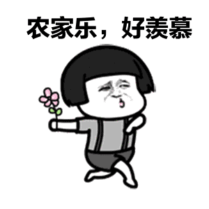 重磅！农村住房大改造！政府出资，首批试点本月底前确定