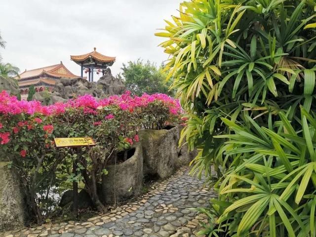  厦门■带你看厦门免费景点（截至6月30日），同安影视城要提前预约吗？
