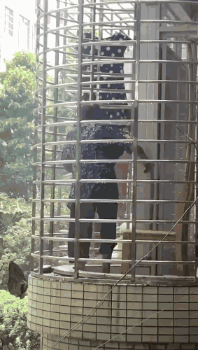 柳州一老人疑被关阳台射水虐待，网友拍视频发朋友圈报警，家人称