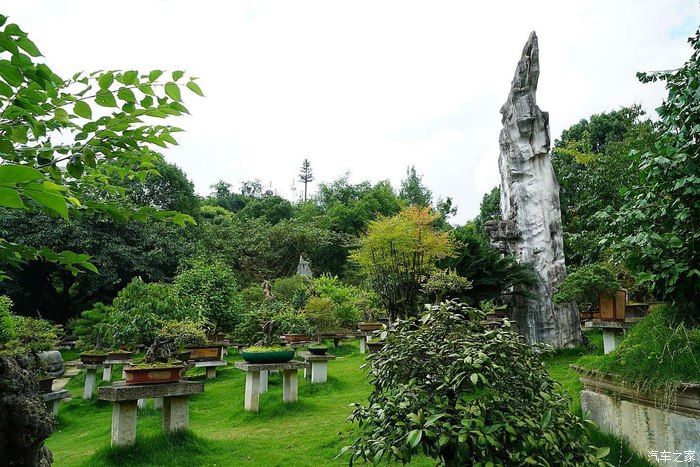 铂金版哈弗H6与您相约，一动一静，哈弗H6与黄果树！