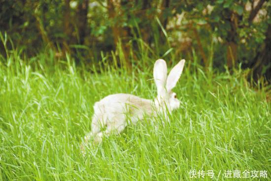  #沙漠中#来聊一聊在塔克拉玛干沙漠里种西瓜