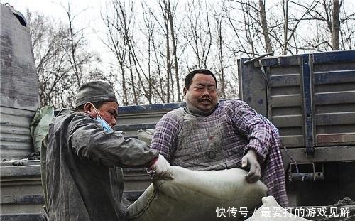 从事这3种工作的农民，若不是太缺钱，趁早转行，挣的钱不够看病