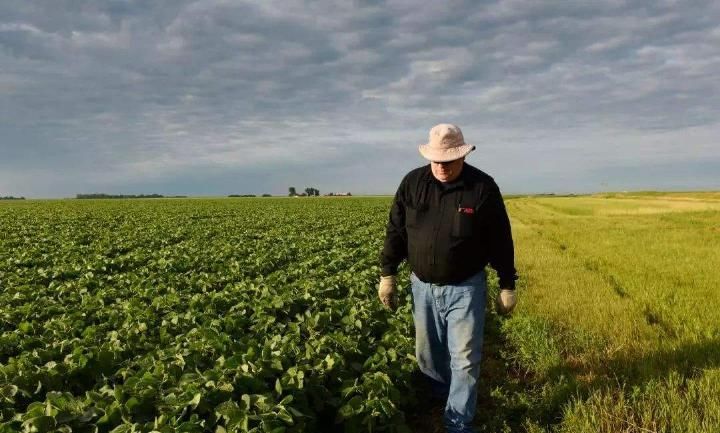 为什么美国人宁愿赔钱, 也要出口大量粮食到中国?