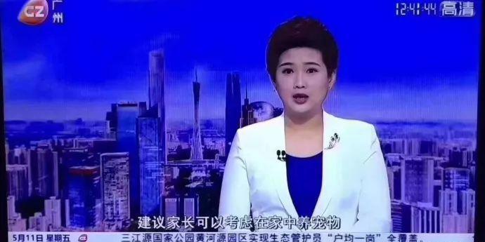 还在相信怀孕不能养宠物吗？ 连央视新闻都出来辟谣了!