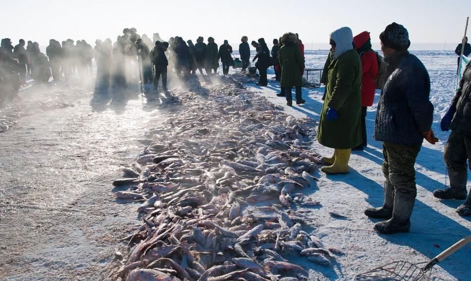 查干湖冬捕火了，鱼多到堆成小山，网友:游客又不是傻子!