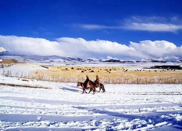 论雪景:看过来、不得不服川藏线