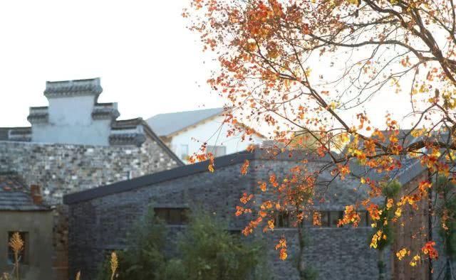 溧水这些充满诗意的精品民宿,等你来邂逅!