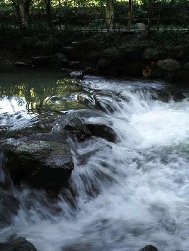 拍美照嬉水纳凉，九溪这两天特别好看，快去打卡