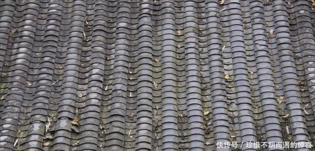 农村盖房子如今都流行这种材料，太时髦了，看完懊悔没早知道