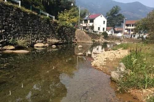  『特别』一种只属于山区的溪钓鱼种，如何垂钓？特别注意鱼籽有毒