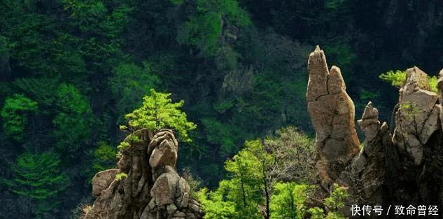 河南又发现一处小“黄山”, 5A景区却至今未开发, 但票价却很良心