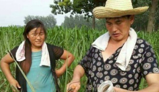 朱之文近日澄清1600万存款，实为银行理财师谣言，请不要相信