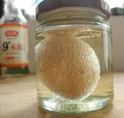 最高效的吸脂减肥方子，按时饭后吃，2天见效果，月瘦24斤没节食