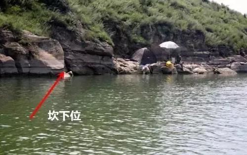  【钓友】野外钓鱼7大黄金钓位！别说老司机没带你，最后一种钓位专出巨物