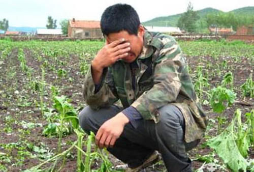  【农民】农村种地的走了，养殖的也少了，为啥会这样？听听老农