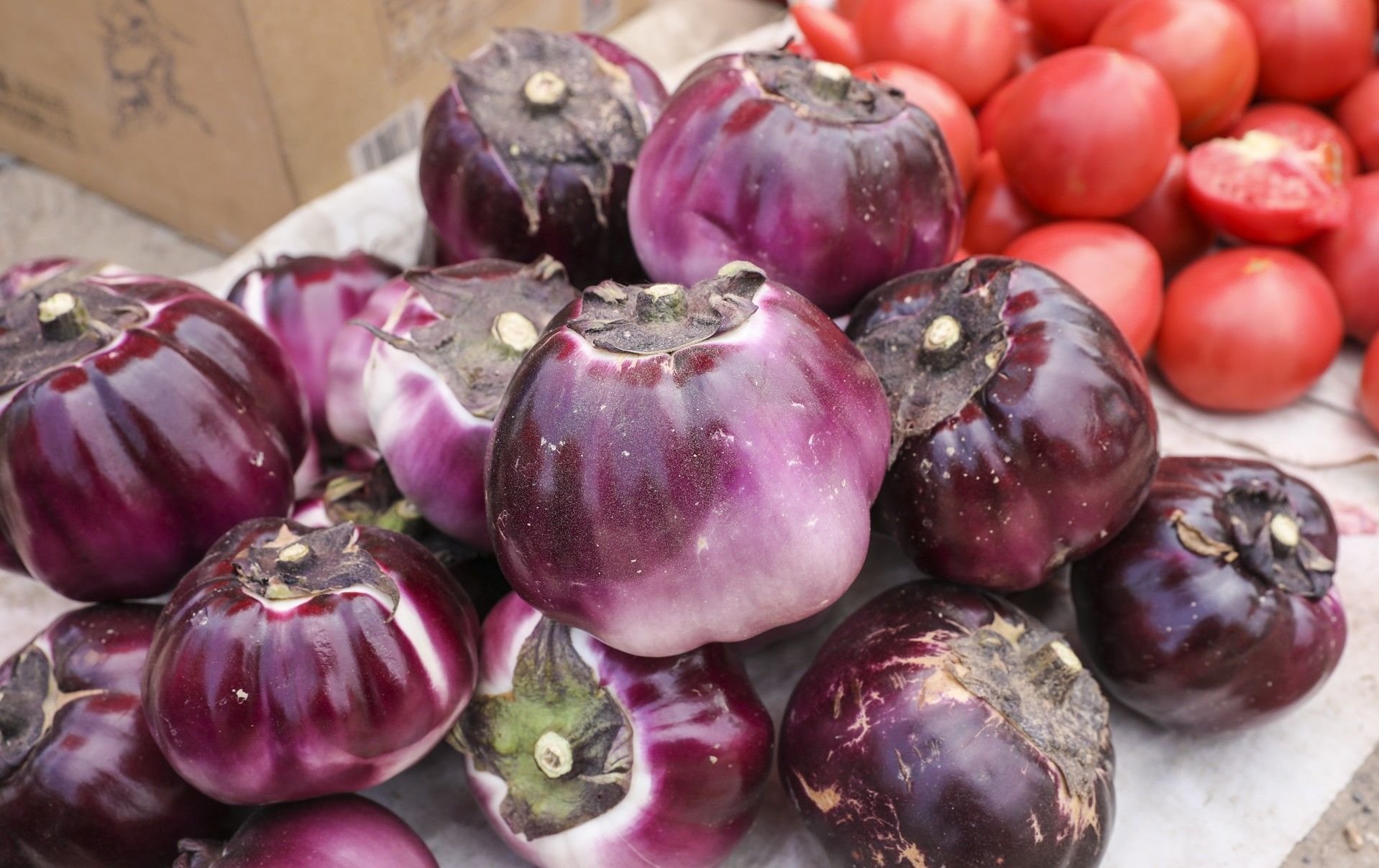  【奶奶】山东6旬农民大妈种8亩西红柿，大集做生意还要看孙子，