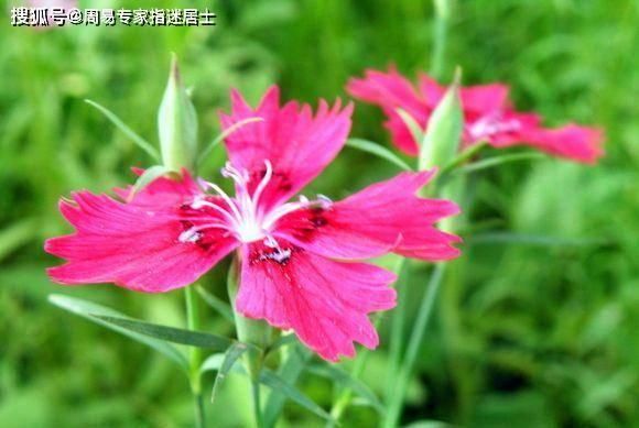  『商品』痣相算命： 少见商品，荣华富贵双全的好痣