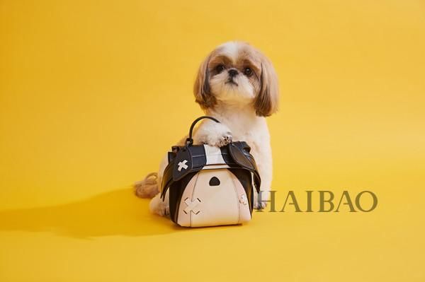 托德斯  再度携手包先生发布限量萌犬系列，致敬中国狗年！