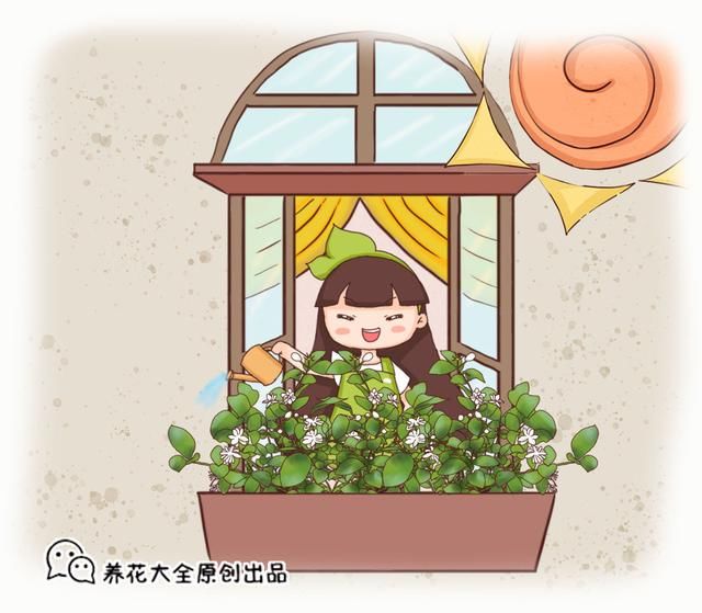  「喜欢」老中医喜欢养的“3种花”，家里养一盆，养人养身心