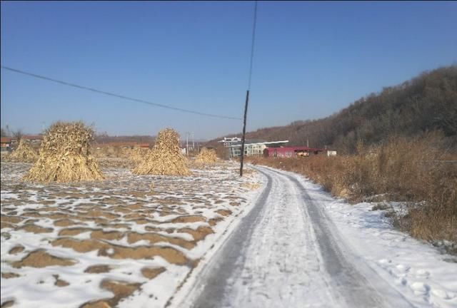  『妈呀』妈呀！东北太冷了！你在南方赏花玩水，我在雪地滚雪球打雪仗