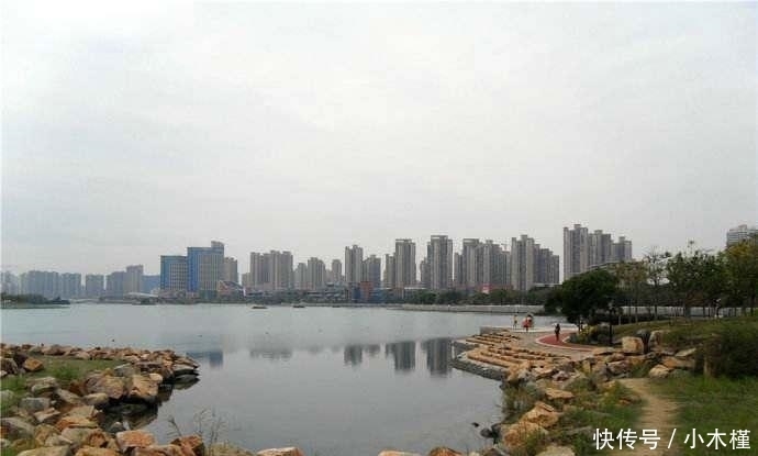  「人工湖」消失的西湖名鱼, 再现公园人工湖, 被当成清道夫捞起