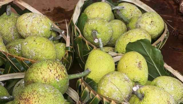  「利润」一颗果实70元，号称亩利润可达20万，农民纷纷摇头表示