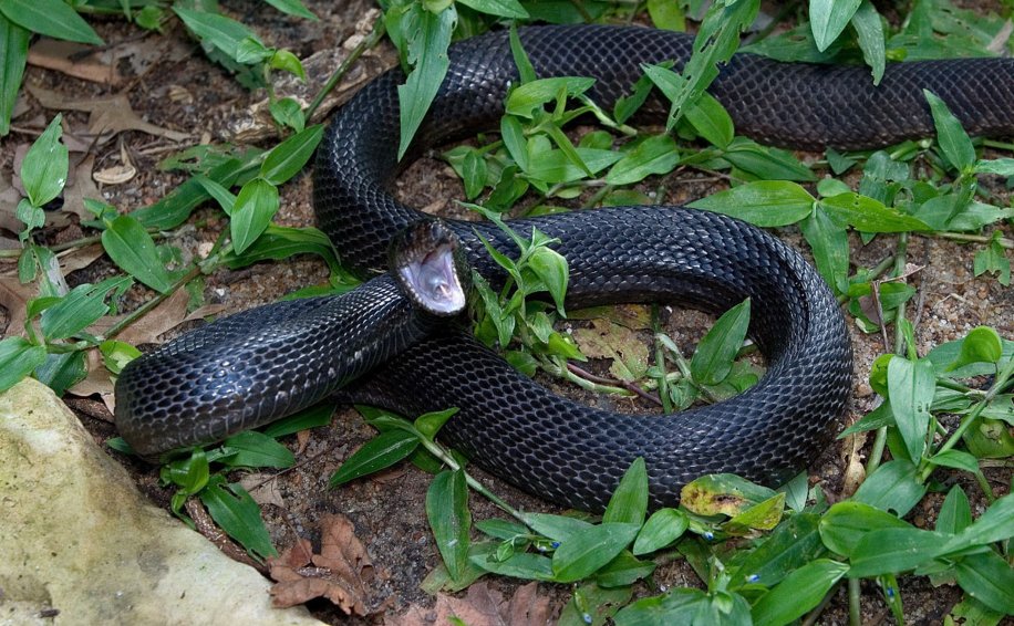 实拍:福建是全国首个县县通高速,高铁市市通的