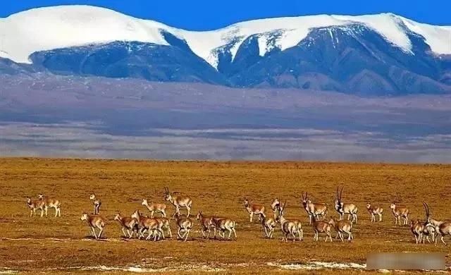  『绝美』中国神秘壮阔最美四大无人区，人迹罕至却景色绝美，你敢去吗？