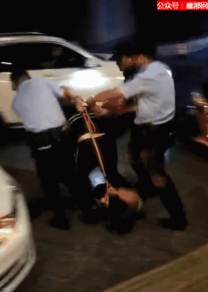 百万粉丝女网红遛狗不栓绳,还殴打8个月孕妇,真的好可怕!