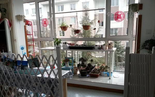  #瞬间#绿植花草这样摆放，阳台瞬间变花园，不仅干净整洁，空间还扩大了