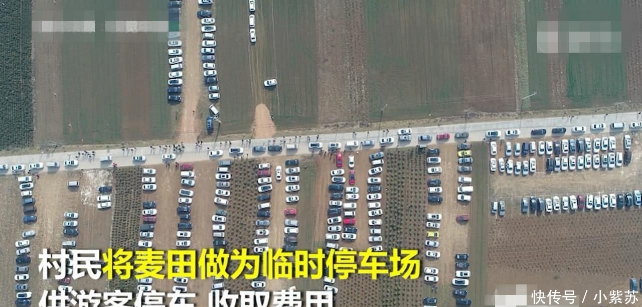村民设麦田为停车场遭质疑 官方: 你是没在农村待过