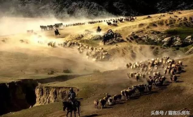 去新疆or去西藏?心累了，去西藏~眼累了，去新疆!