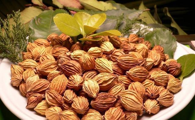  亩产值@只在农村有的“野草”，种植一次可采收多年，亩产值上万元