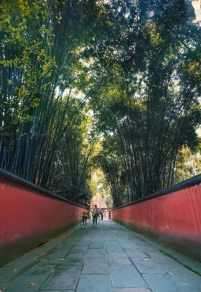  『旅行』爱旅行的女生，从来不会衰老