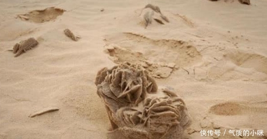 为何沙漠中看见“石头”要捡起？探险者：错过就没了