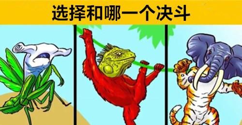 逻辑@8个极其考验你在生活中逻辑能力的有趣谜题