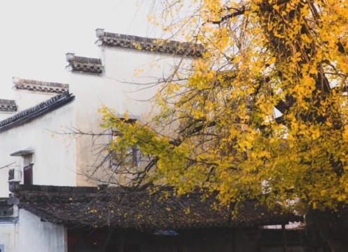 安徽最“可怜”的古村，被誉‘’水口园林第一村‘’，5A景区却少