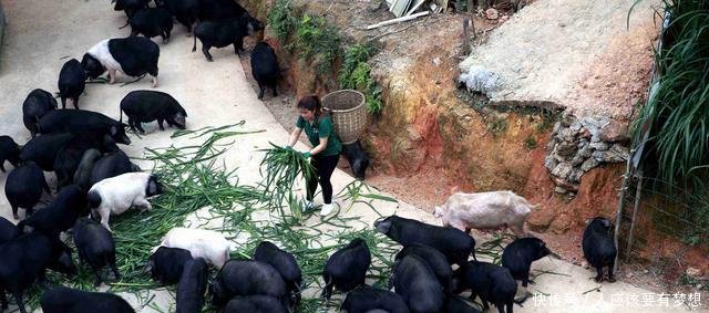 她身价百万，却返乡独住无人山坡，两年后乡亲刮目相看