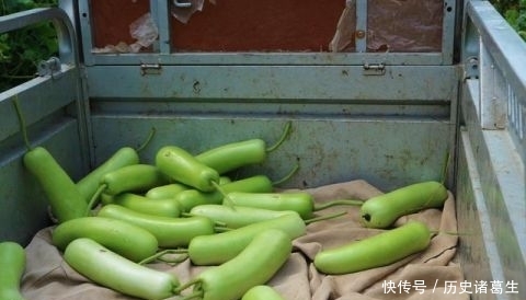  亩地能@农民种植一种蔬菜，批发价每斤0.5元，3亩地能赚多少钱？