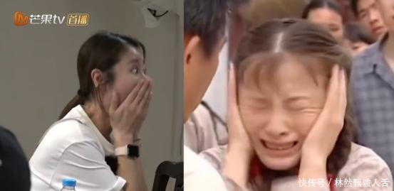 亲爱的客栈第三季张翰退出