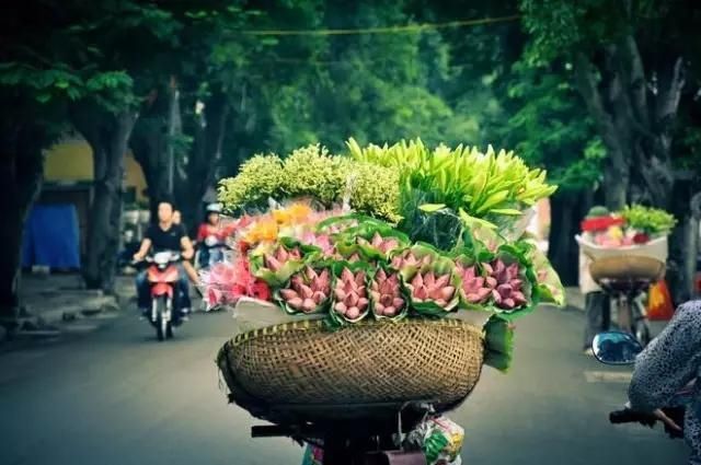  #盘点#盘点一组照片，来欣赏下美丽的越南风景吧！
