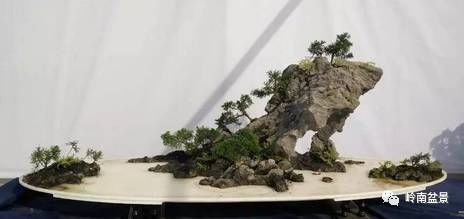 盆景构景十种风格