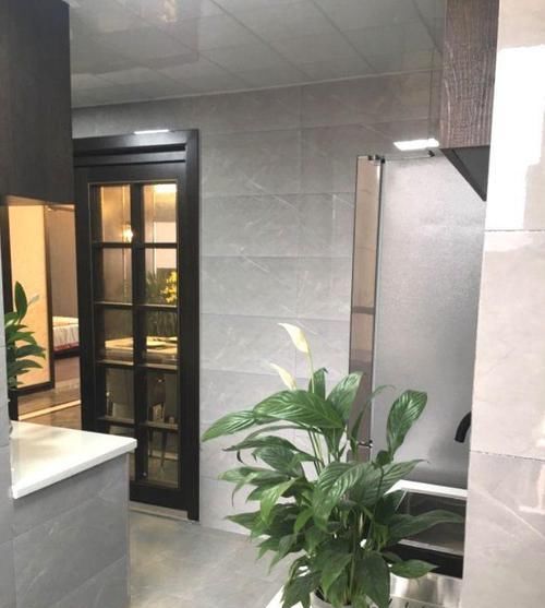  『干湿分离隔』老婆想用马桶我爱用蹲盆，最后马桶和蹲盆一起装，这效果怎么样？