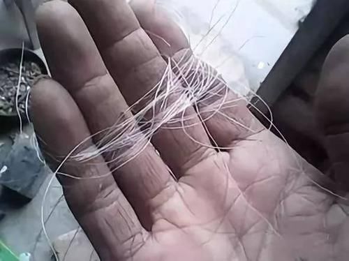  质量■钓鱼达人手把手教你检测鱼线质量，别再选错鱼线了！