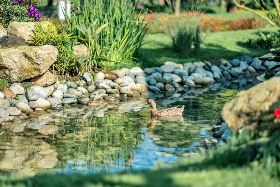  【宋卫】布局大湾区：宋卫平和他的理想小镇